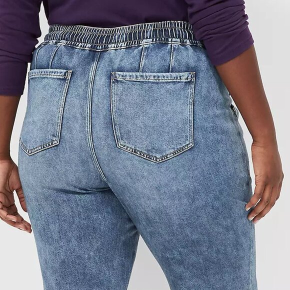 Lane Bryant Pull-On Boyfriend Jogger Jean 26 - Picture 5 of 16